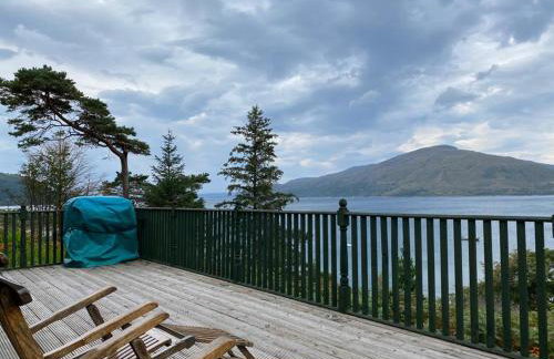 The Green House - Foto 20