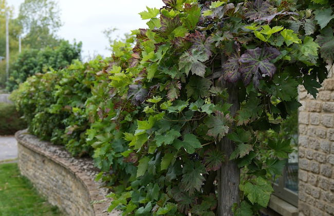 Sunset House - Foto 40