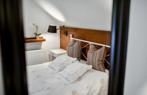 Villa VEGA - Gorseti - Foto 31