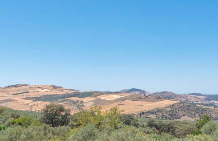 Casa Pulirio Antequera - La Higuera by Ruralidays - Foto 27