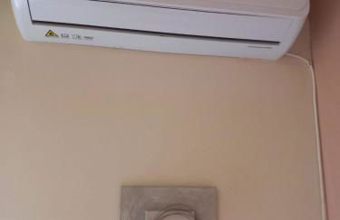 Fox's Sunshine - Foto 22