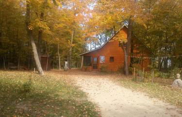 Classic American Getaway in a Lakeside Cabin near Detroit Lakes and Itasca State Park, Minnesota - Foto 15