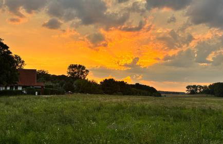 Frisch Saniert Ferienhaus Achterland - Strand, Sauna, Kamin, WLAN und ein großer Garten - Foto 25