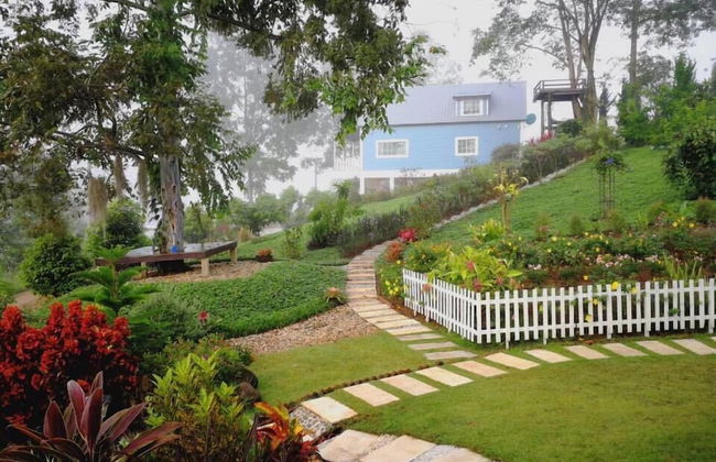 Tip House - Photo 31