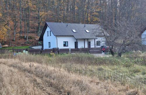 Kaszuby Punkt Klonowo Przywidz sauna klima basen - Foto 3