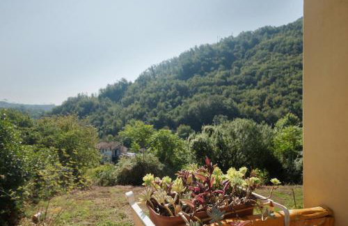 La Cantina Del Sole - Foto 27