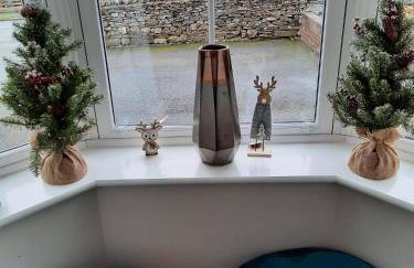 Coddiwomple - Foto 3