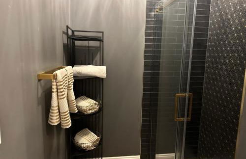 The Historic Lyric Penthouse with Private Rooftop - Foto 44