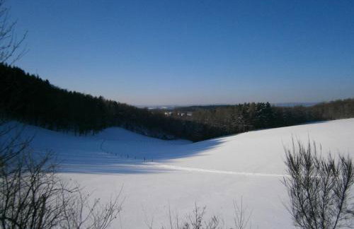 Ferienwohnungen Schimsheimer Rhode - Foto 10