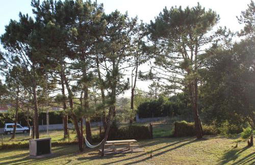 O Faro de Corrubedo - Foto 21