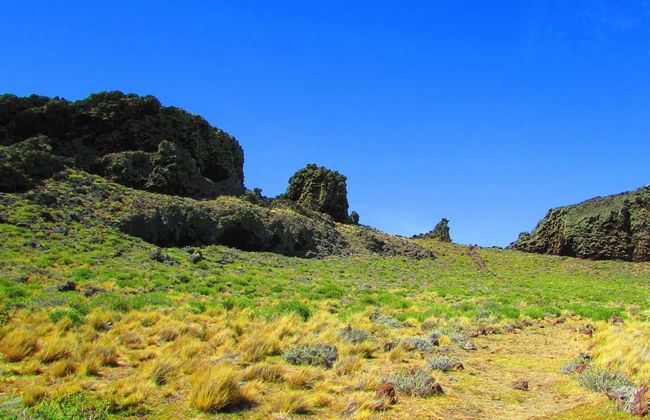 Excursión al Parque Nacional Pali Aike - Foto 5