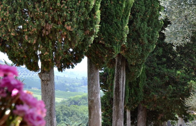 Podere Bellavista - Photo 27