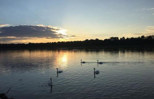 Privat Apartment- Near Strasbourg, Baden Baden - Foto 18