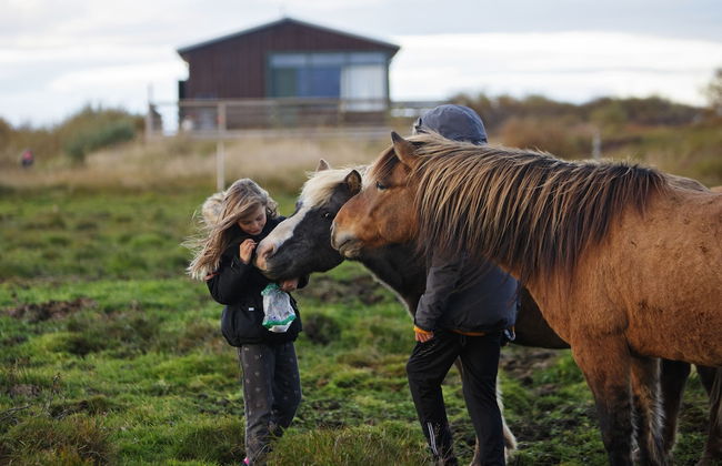 Hestaland Riverside Cottage - Foto 1