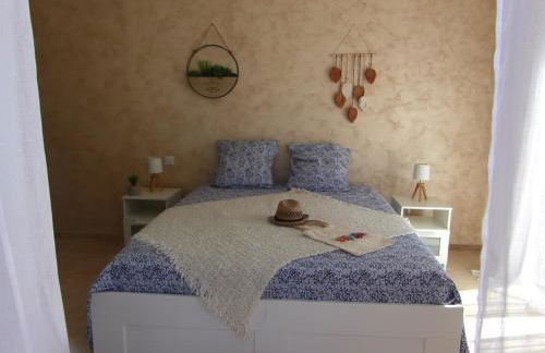 Vigne et cigale - Foto 16