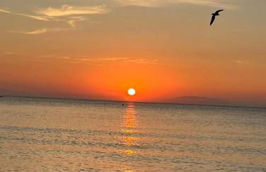 casina mare sulla spiaggia - Foto 2