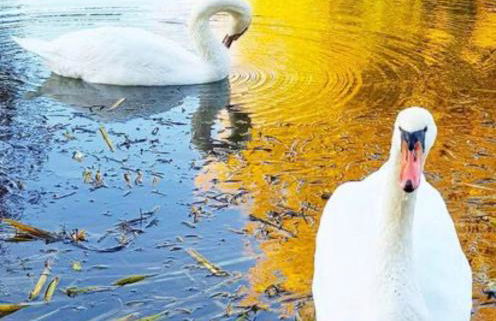 Chez Julien: appartement confort plein centre - Foto 11