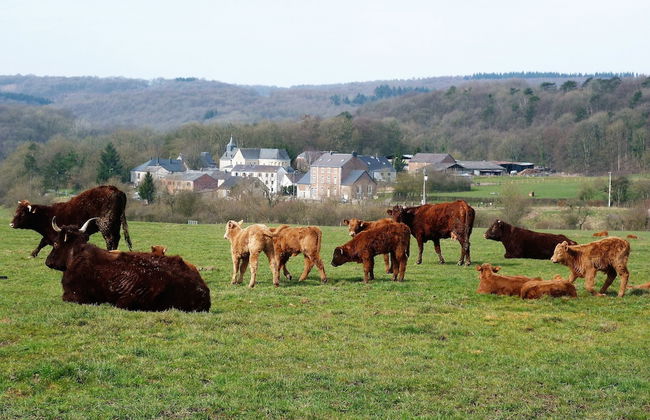 La Grange de David - Foto 49