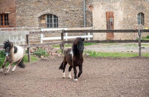 Sonnenschloss - Foto 48