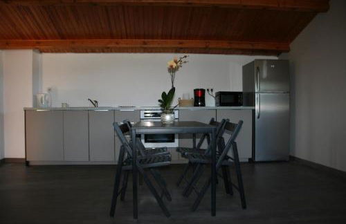 Maison Loubiere - Foto 42