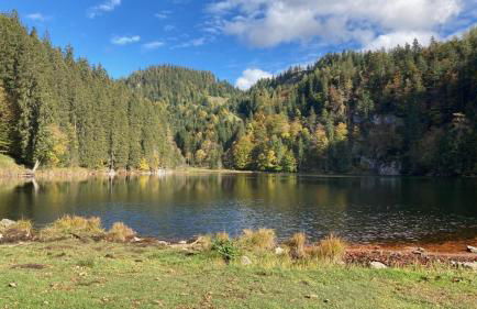 Haus Gneuss - Foto 29