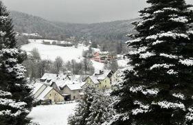Elsa's Waldnest-Nähe Fichtelsee - Foto 32