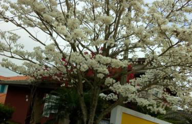 Linda Casa de Campo - Próximo à SP - Wi-Fi grátis - Photo 10