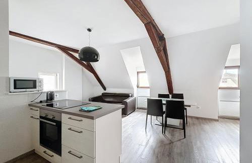 A L'ill - Apparts & Studios Strasbourg Hyper Centre - Foto 62