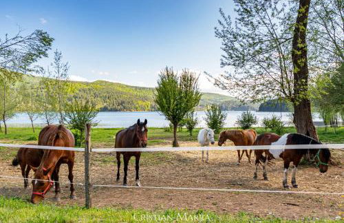 Casa R&G Lorica - Foto 13