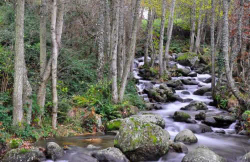 La Casa de Su - Foto 39