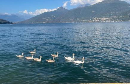 Casa del Cerbiatto, Lake Como a 5 chilometri da Argegno - Foto 28