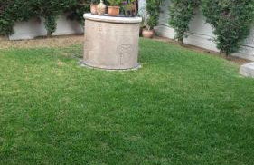 Garden House - Photo 7