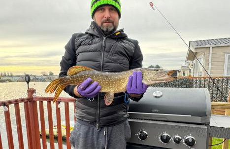 Mulberry Heaven - Clearwater - Foto 28