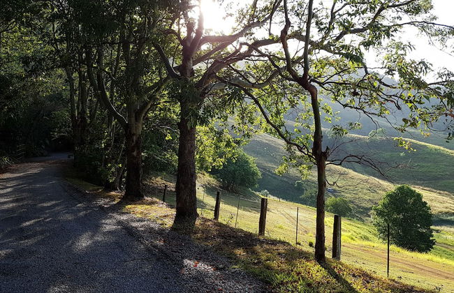 Dayboro Cottages - Photo 15