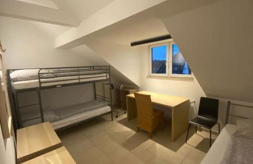 Ap1 am Zoo - Foto 14