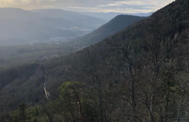 Le Kesbel entre Strasbourg et Colmar en centre Alsace - Foto 33