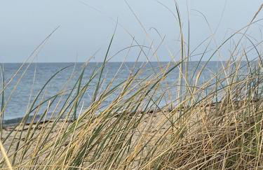 Strandleben Fehmarn - Ferienhaus 1 - Foto 8