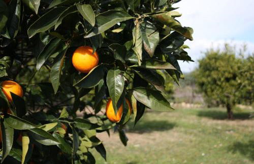 Domus Sol Aria - Foto 16