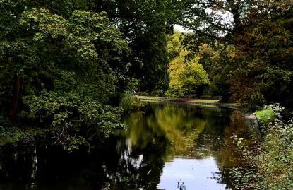 Guest house Elatochori - Foto 51