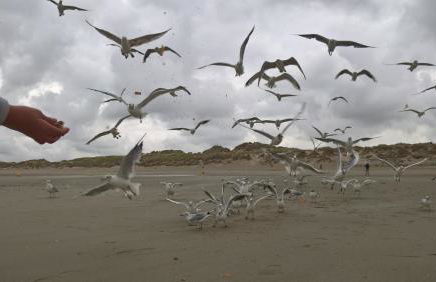 Charme Studio 103 Belle Dune - Foto 36