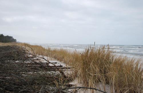 Forest House Sasino-SPA Sauna Balia - Foto 70