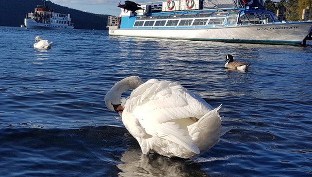 Landausflug: Lake District Adventure Sightseeing Tagesausflug von Liverpool - Foto 2