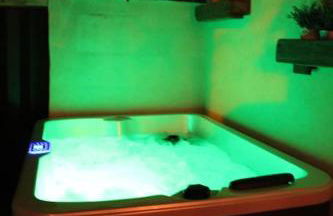 LA PETITE MAISON DE MAUSSANE *** - Foto 27