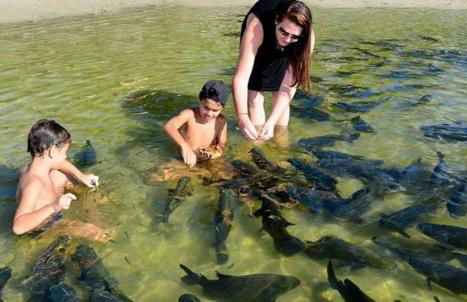 Villa das Águas - Praia do Saco - SE - Foto 15