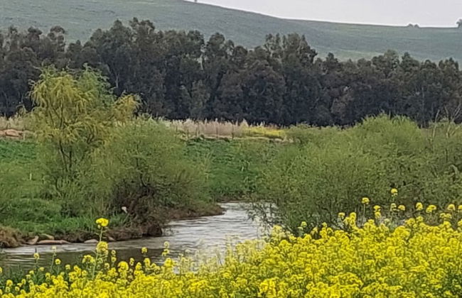 Villa & Lode Bat Galil - Photo 59