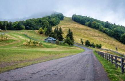 Appartement charmant à Plancher-les-Mines 40 m² avec jardin - Foto 18