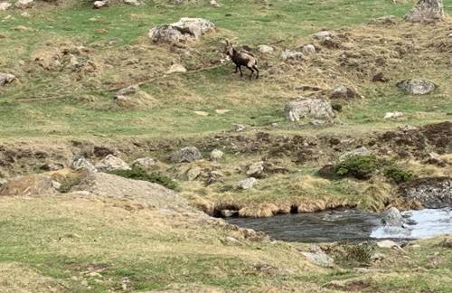 Maison de montagne - Foto 8