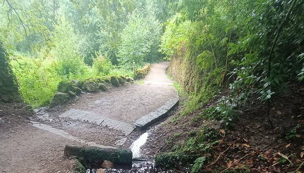 7 Días Camino Tui a Santiago de Compostela - Foto 5