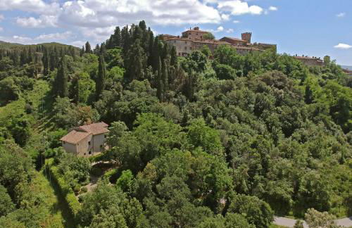 Castello Ginori Di Querceto - Foto 52