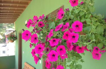 Casas Rurales Prieto - Foto 36